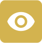 vision icon